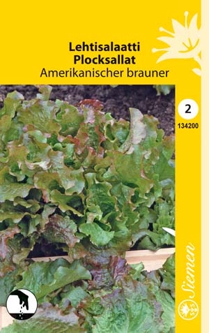 Lehtisalaatti AMERIKANISCHER BRAUNER 134200 - Puutarhasiemenet - 6415151342000 - 1