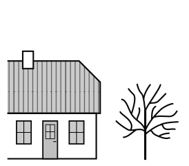 Luumu Victoria 150-250cm at 7,5 L - Hedelmäpuut - 6417189535010 - 1