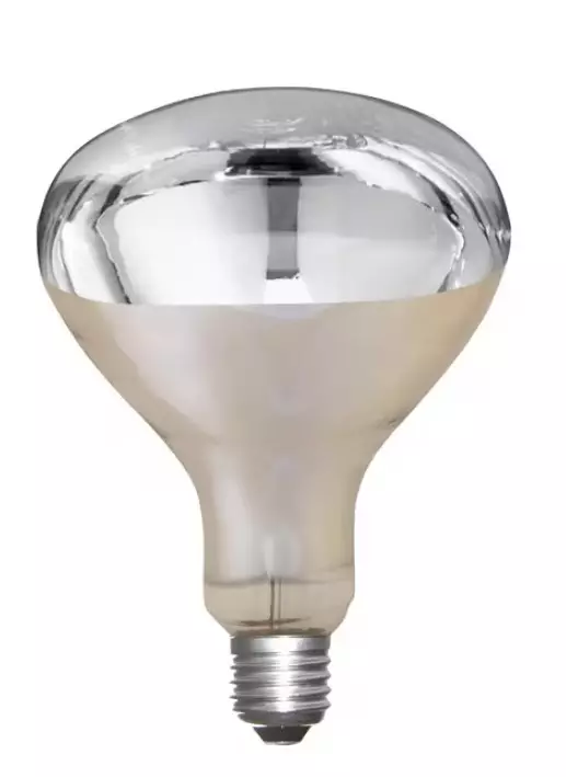 Infrapunalamppu 150W läpinäkyvä - Hehkulamput ja erikoislamput - 4018653222430 - 1