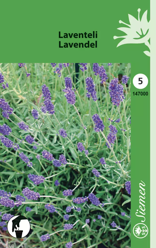 Laventeli - Puutarhasiemenet - 6415151470000 - 1
