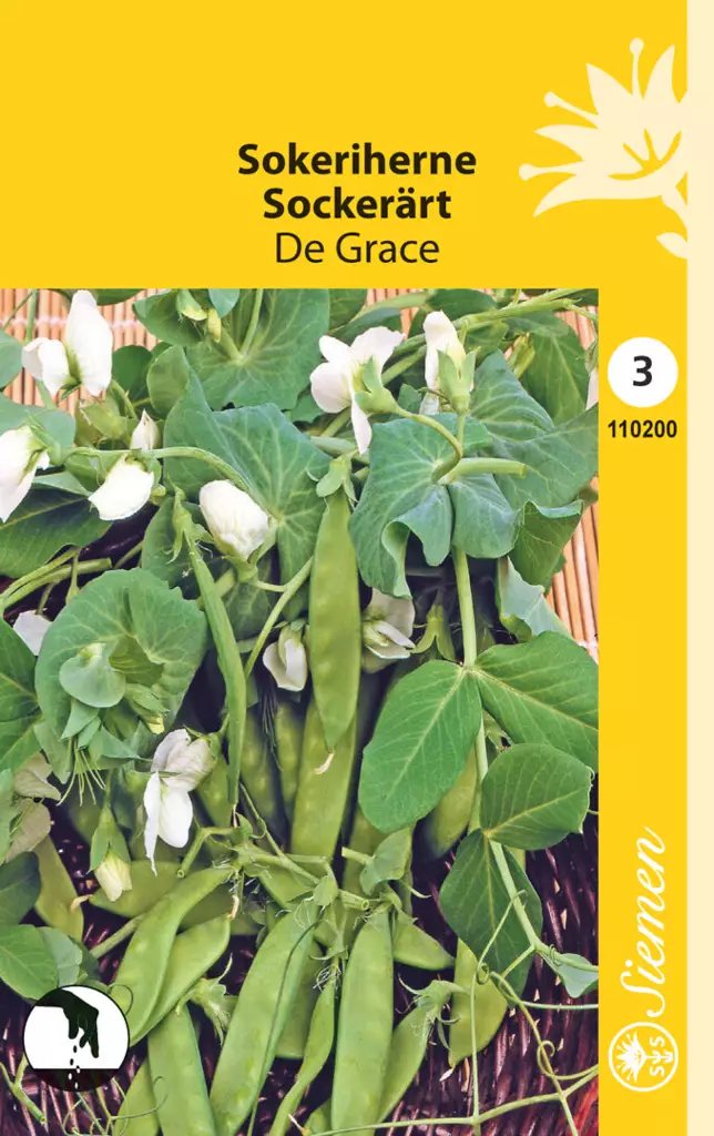 Sokeriherne De Grace - Puutarhasiemenet - 6415151102000 - 1