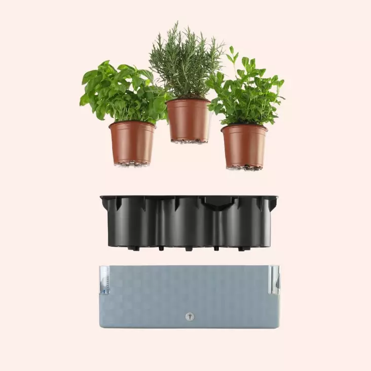 Yrttiruukku Cobble Trio kolmelle yrtille - Ulkoruukut - 8595096966290 - 1