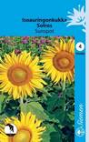 Isoauringonkukka SUNSPOT 193460 - Puutarhasiemenet - 6415151934601 - 1
