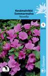 Kesämalvikki NOVELLA 203110 - Puutarhasiemenet - 6415152031101 - 1