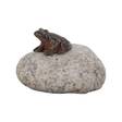 Koristekivi eläinhahmolla 12x9x8cm - Pihakoristeet - 8714982043581 - 4