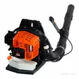 Reppupuhallin PB-5810T, Echo - Polttomoottorikäyttöiset puhaltimet - 4934110716741 - 1
