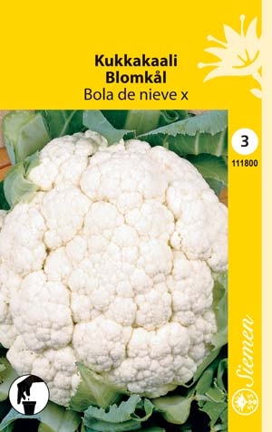 Kukkakaali BOLA DE NIEVE X 111800 - Puutarhasiemenet - 6415151118001 - 1