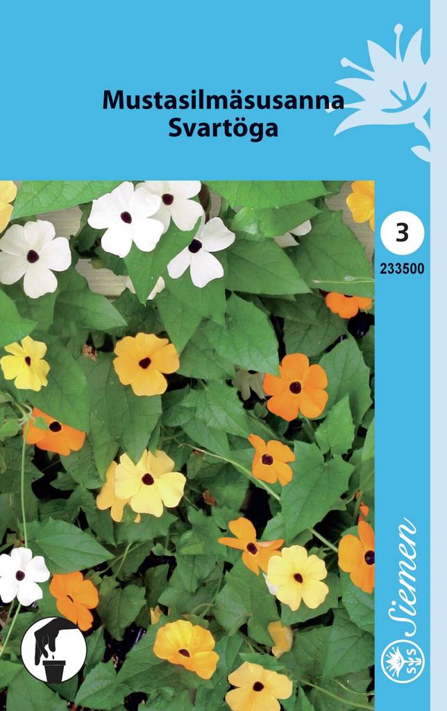 Mustasilmäsusanna SEKOITE 233500 - Puutarhasiemenet - 6415152335001 - 1