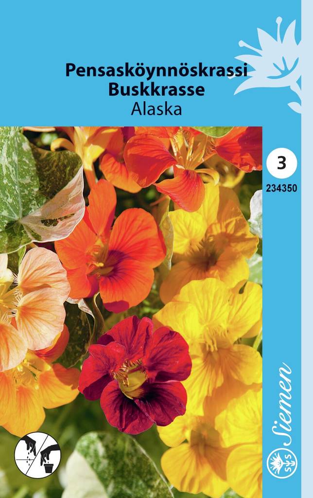 Pensasköynnöskrassi ALASKA 234350 - Puutarhasiemenet - 6415152343501 - 1