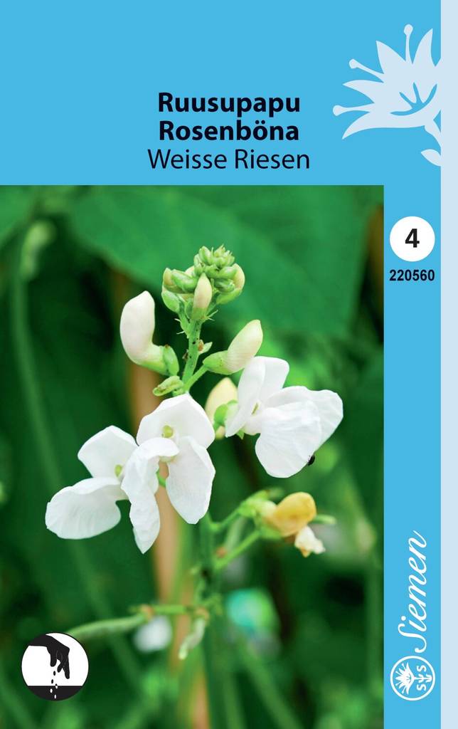 Ruusupapu WEISSE RIESEN 220560 - Puutarhasiemenet - 6415152205601 - 1