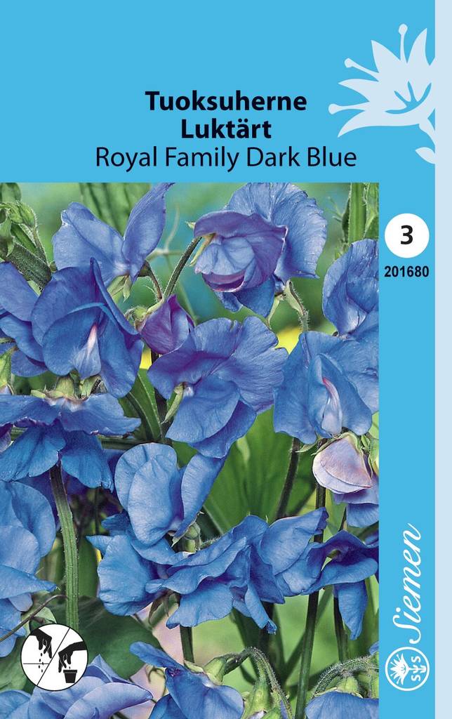 Tuoksuherne ROYAL FAMILY DARK BLUE 201680 - Puutarhasiemenet - 6415152016801 - 1