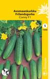Avomaankurkku CONNY F1 116840 - Puutarhasiemenet - 6415151168402 - 1