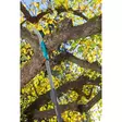 Oksasaha Gardena Combisystem kaareva - Muut puutarhatyökalut - 4078500873802 - 3