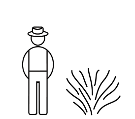 Karhunvatukka Little Black Prince at 3 L - Marjapensaat ja mansikat - 6417189278122 - 1