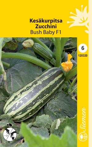 Kesäkurpitsa BUSH BABY F1 120320 - Puutarhasiemenet - 6415151203202 - 1
