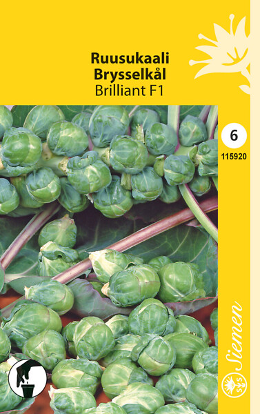 Ruusukaali BRILLIANT F1 115920 - Puutarhasiemenet - 6415151159202 - 1