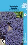 Sinilobelia CRYSTAL PALACE 205000 - Puutarhasiemenet - 6415152050003 - 1