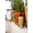 Kekkilä Kasviravinne 400ml - Kukkaravinteet - 6433000346863 - 2