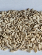 Kuorittu Auringonkukansiemen 10 kg - Ulkolinnun ruoat ja tarvikkeet - 6420614080023 - 1