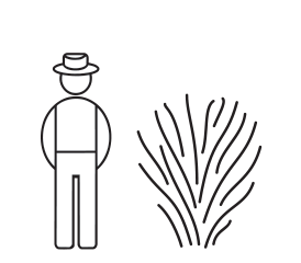 Mulperi Mojo Berry at 2 L - Marjapensaat ja mansikat - 6417189213673 - 1