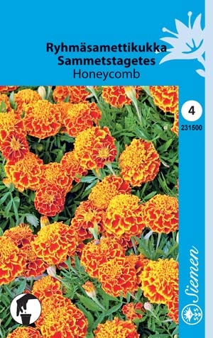 Ryhmäsamettikukka HONEYCOMB 231500 - Puutarhasiemenet - 6415152315003 - 1