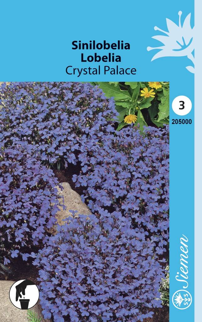 Sinilobelia CRYSTAL PALACE 205000 - Puutarhasiemenet - 6415152050003 - 1