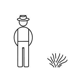 Tähkälaventeli Hidcote at 2 L - Ruusut ja koristepensaat - 6417189028833 - 1