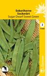 Sokeriherne SUGAR DWARF SWEET GREEN 110400 - Puutarhasiemenet - 6415151104004 - 1