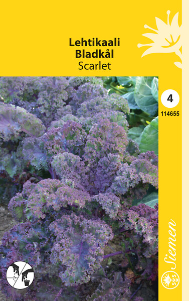 Lehtikaali SCARLET 114655 - Puutarhasiemenet - 6415151146554 - 1