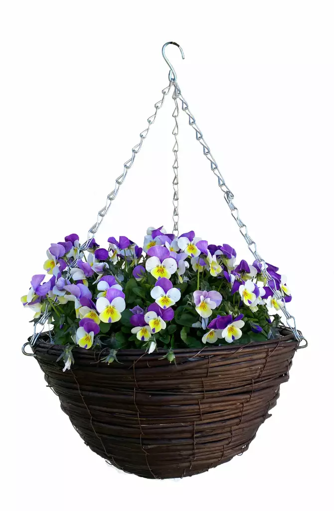 Rottinkiamppeli Pyöreä Ø35cm - Ulkoruukut - 6416556106914 - 1