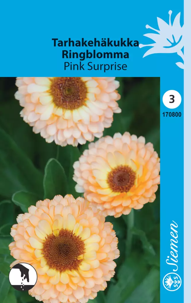 Tarhakehäkukka Pink Surprise - Puutarhasiemenet - 6415151708004 - 1