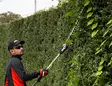 Akkupensasleikkuri DHCAS-2600, X-series - Akkupensasleikkurit - 24788205 - 4
