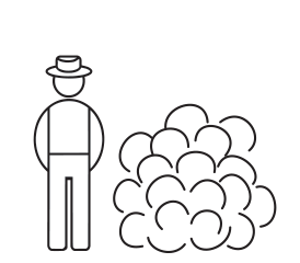 Alppiruusu Terta 20-30cm at 2 L - Havut ja alppiruusut - 6417189800705 - 1