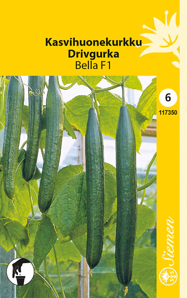 Kasvihuonekurkku BELLA F1 117350 - Puutarhasiemenet - 6415151173505 - 1