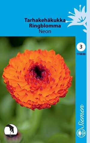 Tarhakehäkukka NEON 170650 - Puutarhasiemenet - 6415151706505 - 1