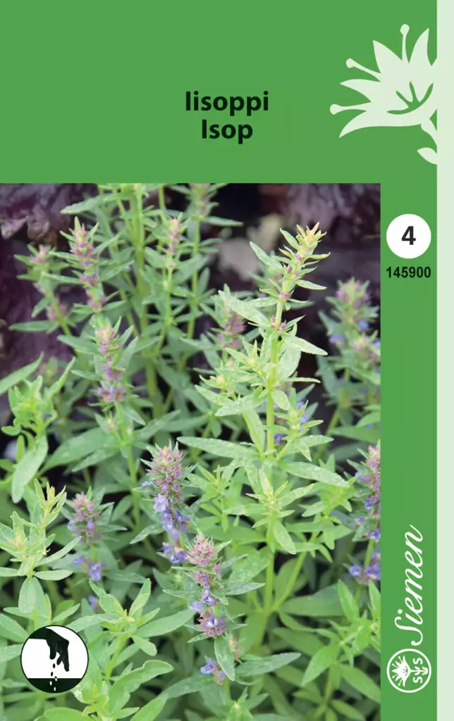 Iisoppi - Puutarhasiemenet - 6415151459005 - 1