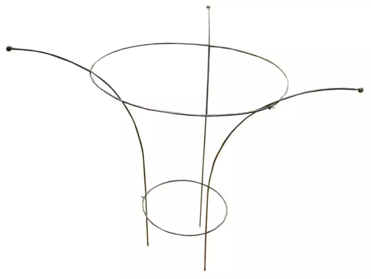 Kasvituki Pioni ø30/60cm - Kasvien kiinnitys ja tuenta - 6416556924075 - 1