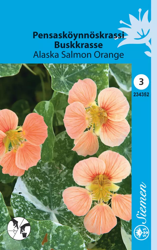 Pensasköynnöskrassi Alaska Salmon Orange - Puutarhasiemenet - 6415152343525 - 1