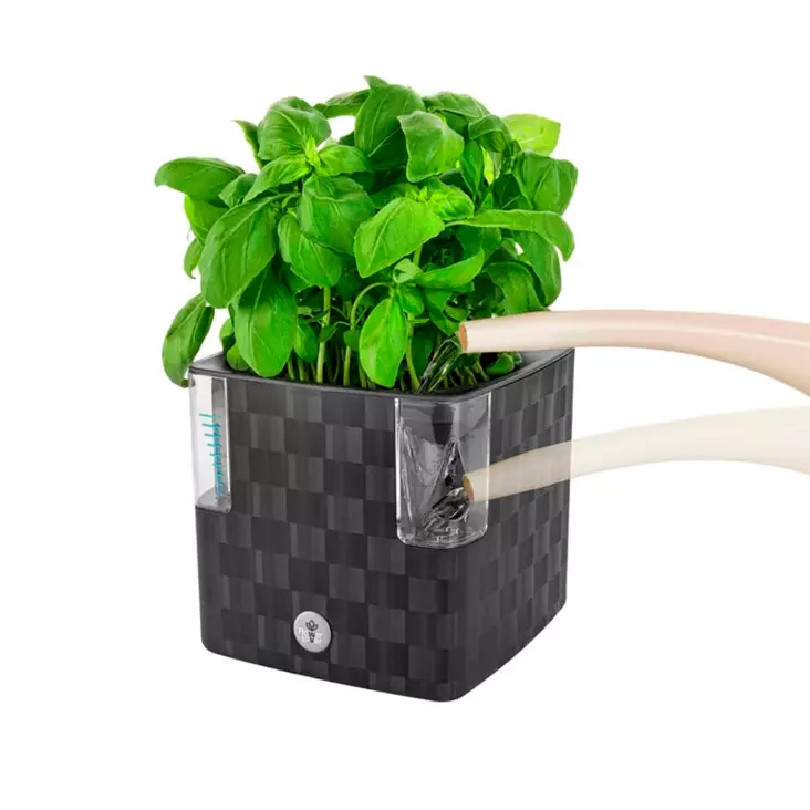 Yrttiruukku Cobble altakasteleva 12cm - Esikasvatus- ja taimikasvatustarvikkeet - 8595096964135 - 1