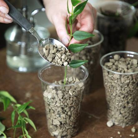 Kekkilä Viherkasvisora 5 L - Kukkamullat - 6433000345996 - 2