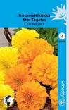 Isosamettikukka CRACKERJACK 230100 - Puutarhasiemenet - 6415152301006 - 1