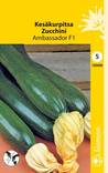 Kesäkurpitsa AMBASSADOR F1 120450 - Puutarhasiemenet - 6415151204506 - 1