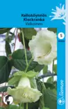 Kelloköynnös valkoinen - Puutarhasiemenet - 6415151830026 - 1