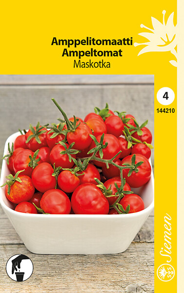 Amppelitomaatti MASKOTKA 144210 - Puutarhasiemenet - 6415151442106 - 1
