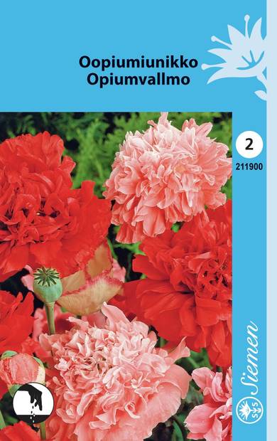 Oopiumunikko 211900 - Puutarhasiemenet - 6415152119007 - 1
