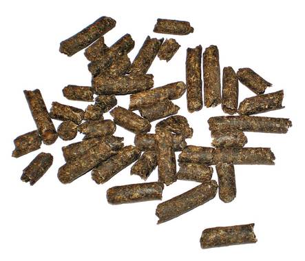 Raeleike - Hevosen rehut - 6417679023157 - 3