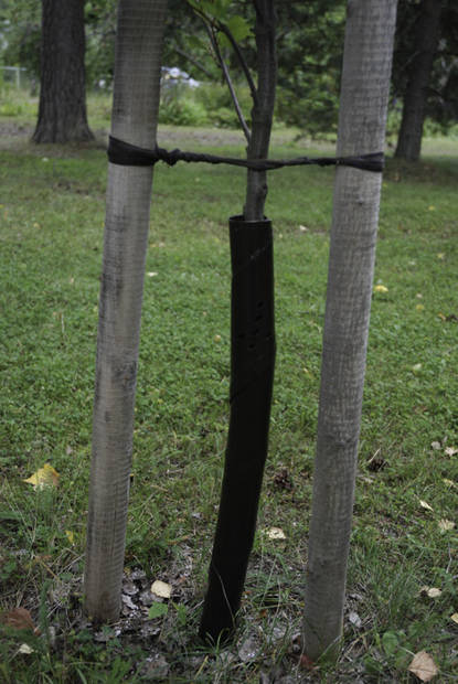 Rungonsuoja Spiraali 3kpl 60cmx40mm - Kasvien kiinnitys ja tuenta - 6430068433177 - 1