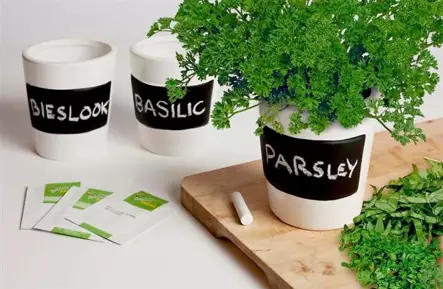 Buzzy 3kpl liitutauluruukkuja + pelletit+siemenet - Ulkoruukut - 8711117850007 - 2