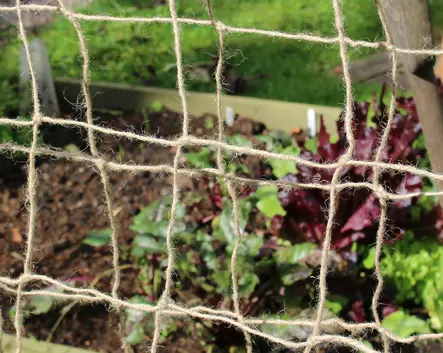 Juuttiverkko 1,8 x 1,8 m - Kasvien kiinnitys ja tuenta - 6416556932377 - 2