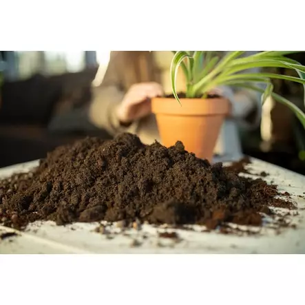 Kekkilä Viherkasvimulta 10 L - Kukkamullat - 6433000100397 - 2